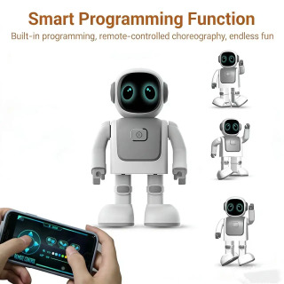 Raqsga tushayotgan robot Robert Raqsga tushuvchi robot Intelligent dasturlash Bluetooth tovushli kosmik robot Bolalar o'yinchoqlari sovg'alar