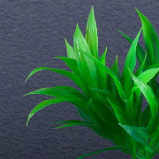 Ornament Akvarium dekorasi Sun'iy o'simliklar Sun'iy suv o'tlari simulyatsiyasi o'simliklari Baliq tanki aksessuarlari Baliq tankini bezash