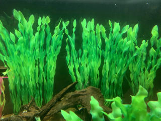 5/10 dona. Plastik akvarium o'simliklari Akvarium bezaklari Akvarium aksessuarlari uchun sun'iy yosunlar suv o'tlari suv osti o'simliklari