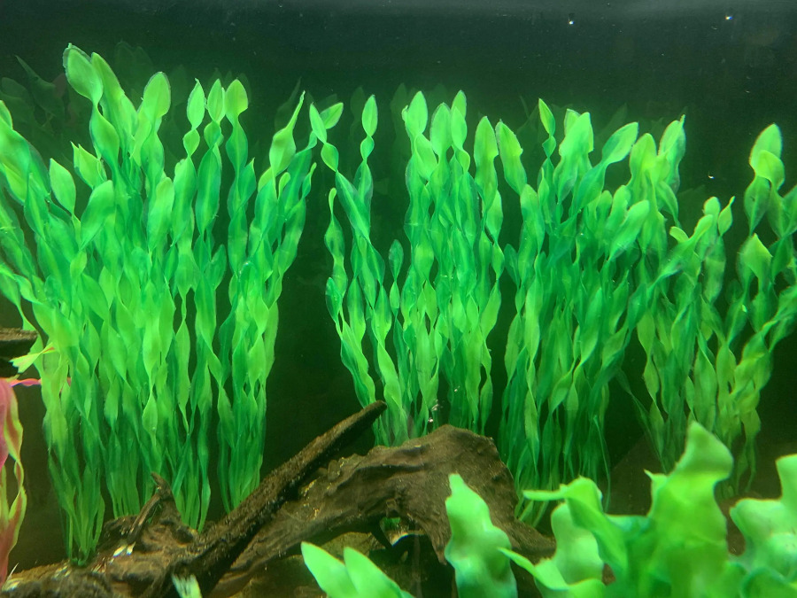 5/10 dona. Plastik akvarium o'simliklari Akvarium bezaklari Akvarium aksessuarlari uchun sun'iy yosunlar suv o'tlari suv osti o'simliklari