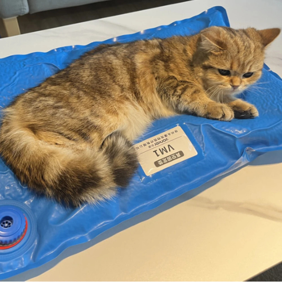 Hayvonlar uchun jarrohlik aksessuarlari uy hayvonlari uchun vakuumli matkap kichik veterinariya tekshiruvi uy hayvonlarini parvarish qilish xonasi