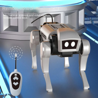 RC robot bolalar uchun mexanik masofadan boshqarish pulti it o'yinchoqlari fanni o'rganish yig'ilishi DIY modeli elektr o'yinchoqlar to'plami o'g'il bolalar uchun sovg'a
