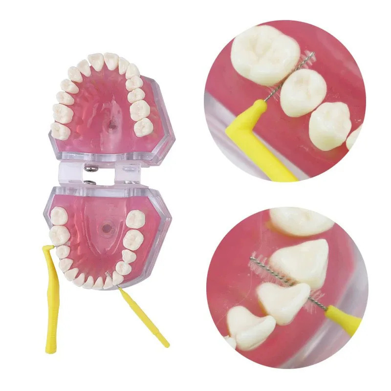 DENTWORLD portativ stomatologik parvarishlash to'plami - ortodontik tish cho'tkasi, til qirg'ich, tishlararo cho'tka