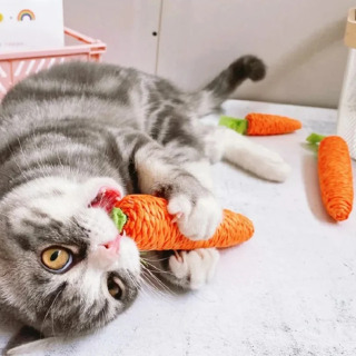 Игрушка для кошек: Морковь со звуком, устойчивая к укусам, из бумажной веревки, для чистки зубов, интерактивная, жевательная игрушка-морковка для кошек