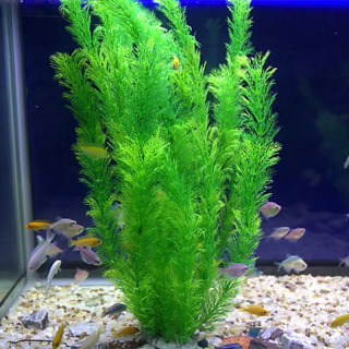 22-60 sm balandlikdagi sun'iy akvarium o'simliklari katta plastik simulyatsiya o't baliq akvarium dekor bezaklari baliq akvarium aksessuarlari