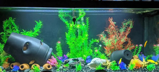 Akvarium o'simliklari, baliq akvarium o'simliklari, sun'iy o'simliklar, suv uchun suv, qizil yashil katta baliq akvarium zavodi, baliq akvarium bezaklari