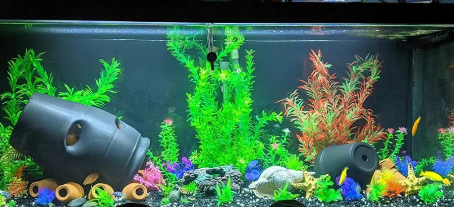 Akvarium o'simliklari, baliq akvarium o'simliklari, sun'iy o'simliklar, suv uchun suv, qizil yashil katta baliq akvarium zavodi, baliq akvarium bezaklari
