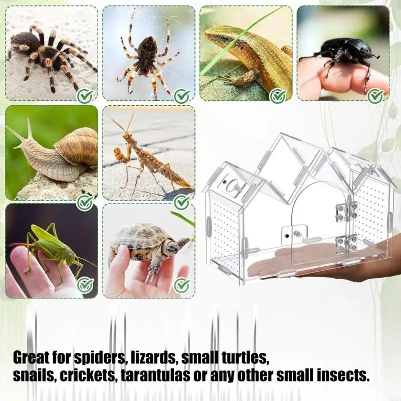 Samarali havo oqimi, oson tozalash, yashash joyi uchun shamollatiladigan portativ akril sudraluvchi terrarium