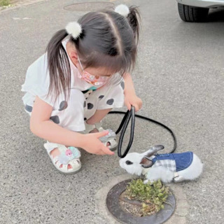 Chinchilla quyonlari uchun yuradigan kichik hayvonlar uchun uy hayvonlari uchun jabduqlar Daniy quyon Gvineya cho'chqasi quyoni Gollandiya Lops tasma maskot aksessuarlari
