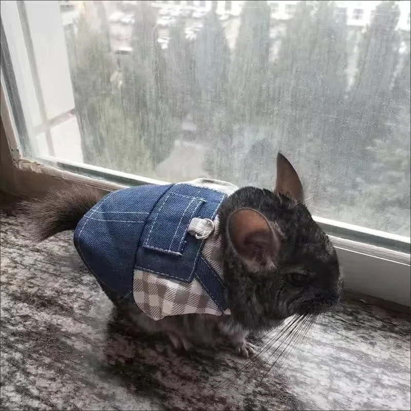 Chinchilla quyonlari uchun yuradigan kichik hayvonlar uchun uy hayvonlari uchun jabduqlar Daniy quyon Gvineya cho'chqasi quyoni Gollandiya Lops tasma maskot aksessuarlari