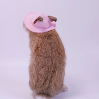 Kichik hayvonlarning kigiz chelak qopqog'i Uy hayvonlari kiyimlari aksessuarlari nafas oladigan hamster baliq ovlash shlyapasi Quloqlari teshiklari bilan engil vaznli