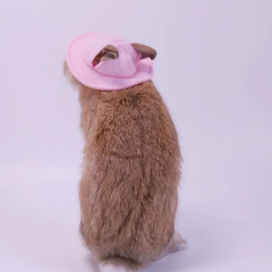 Kichik hayvonlarning kigiz chelak qopqog'i Uy hayvonlari kiyimlari aksessuarlari nafas oladigan hamster baliq ovlash shlyapasi Quloqlari teshiklari bilan engil vaznli