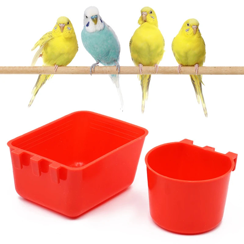 1 dona plastik qush ichuvchisi