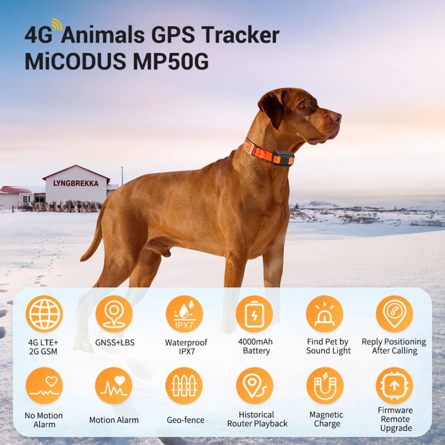 Умный GPS-трекер 4G и электронный забор GPRS-навигация и позиционирование функции исторического отслеживания GPS-трекер
