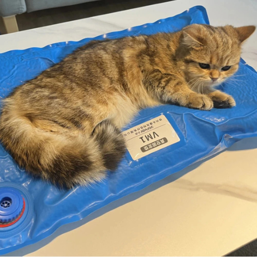 Hayvonlar uchun jarrohlik aksessuarlari uy hayvonlari uchun vakuumli matkap kichik veterinariya tekshiruvi uy hayvonlarini parvarish qilish xonasi