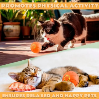 Uy hayvonlari uchun o'yinchoqlar Gravity Electric Pet Entertainment Ball Itlar va mushuklar uchun aqlli sakrash to'pi