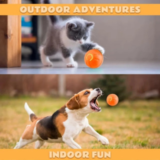 Uy hayvonlari uchun o'yinchoqlar Gravity Electric Pet Entertainment Ball Itlar va mushuklar uchun aqlli sakrash to'pi