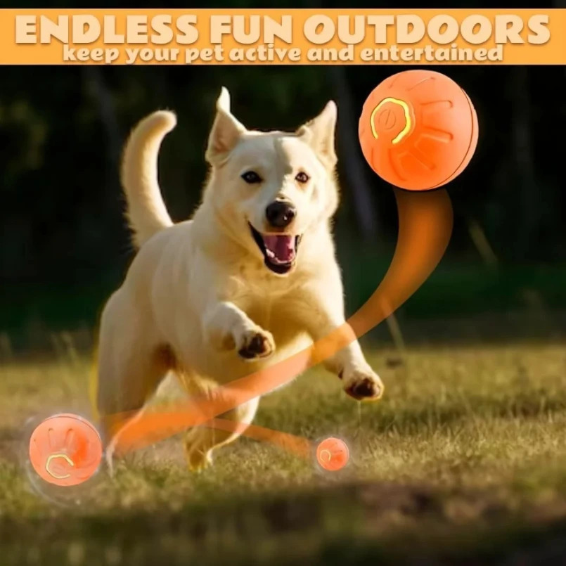 Uy hayvonlari uchun o'yinchoqlar Gravity Electric Pet Entertainment Ball Itlar va mushuklar uchun aqlli sakrash to'pi