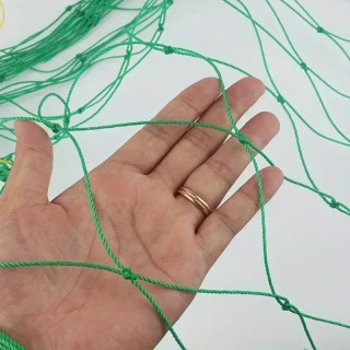 Pomidor mevali sabzavotli uzum uchun bog ʻoʻsimliklari toqqa chiqish tarmogʻi Neylon panjarali toʻr ekish materiallari Bogʻ aksessuarlari
