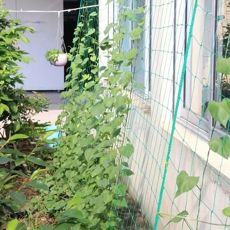 Pomidor mevali sabzavotli uzum uchun bog ʻoʻsimliklari toqqa chiqish tarmogʻi Neylon panjarali toʻr ekish materiallari Bogʻ aksessuarlari