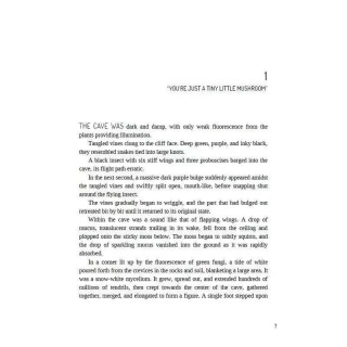2 книги «Маленький гриб», том 1+2, английский роман, книга в мягкой обложке