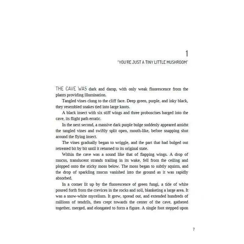 2 книги «Маленький гриб», том 1+2, английский роман, книга в мягкой обложке