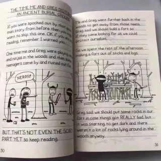 Случайно выбор, одна книга, дневник Wimpy Kid, английская книга, дневник Wimpy Kid, детские художественные книги в штучной упаковке
