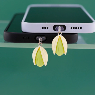 Mobil telefon chang vilkasi taqlid qatroni pista kulonli kalit zanjiri telefon aksessuarlari iPhone Type-C uchun sovgʻa lanyard