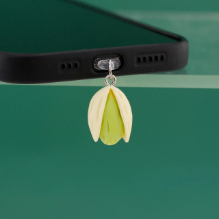 Mobil telefon chang vilkasi taqlid qatroni pista kulonli kalit zanjiri telefon aksessuarlari iPhone Type-C uchun sovgʻa lanyard