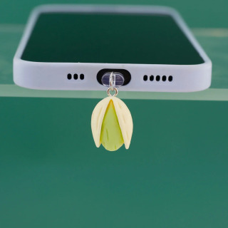 Mobil telefon chang vilkasi taqlid qatroni pista kulonli kalit zanjiri telefon aksessuarlari iPhone Type-C uchun sovgʻa lanyard