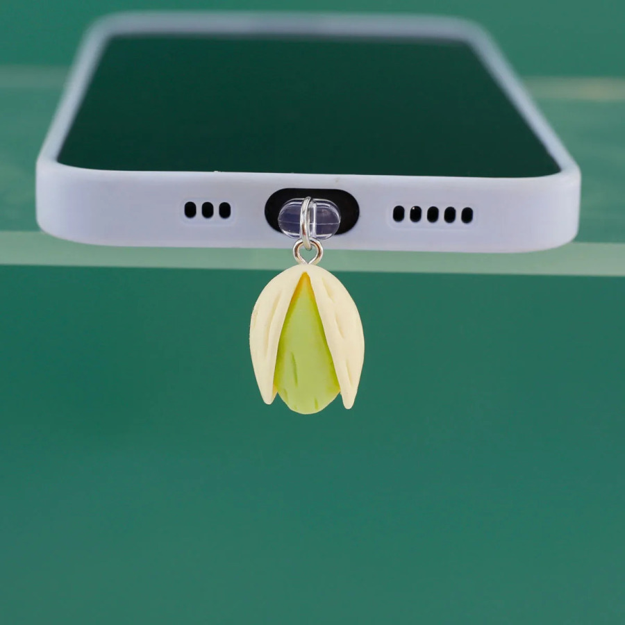 Mobil telefon chang vilkasi taqlid qatroni pista kulonli kalit zanjiri telefon aksessuarlari iPhone Type-C uchun sovgʻa lanyard